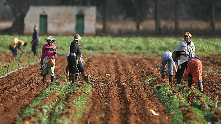 Kwara Agric 1