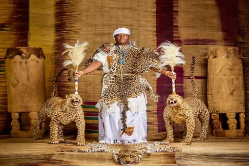 Ooni 510X340 1 Ooni 510X340 1