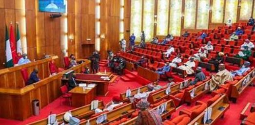 Senate 3