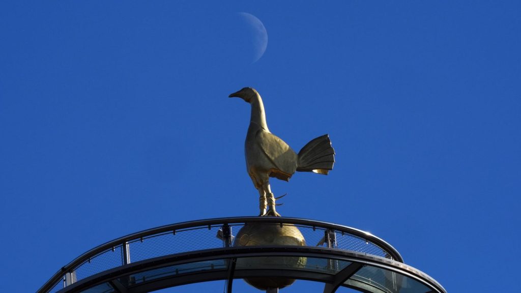 Skysports Tottenham Spurs 7014585