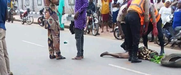 T2 1761585296 T2 1761585296