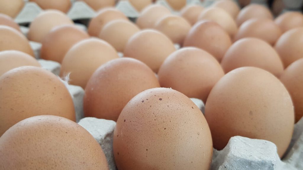 Tray Of Eggs Salmonella Shutterstock 1431677000