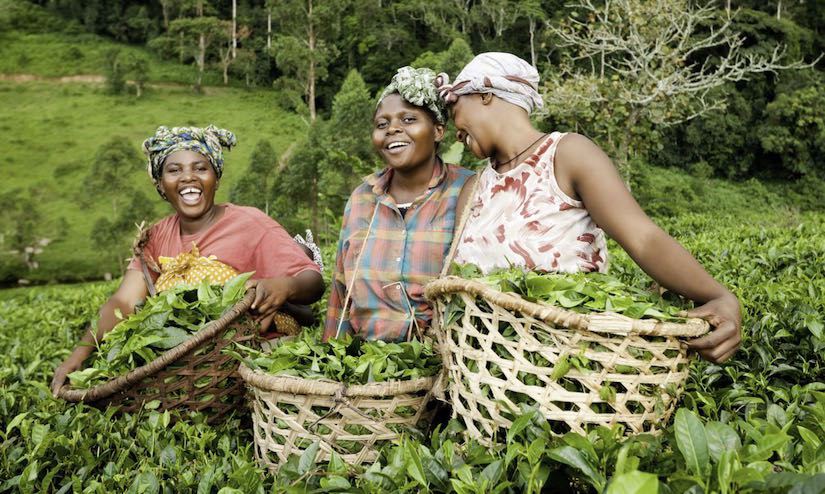 Women In Agriculture Farmer