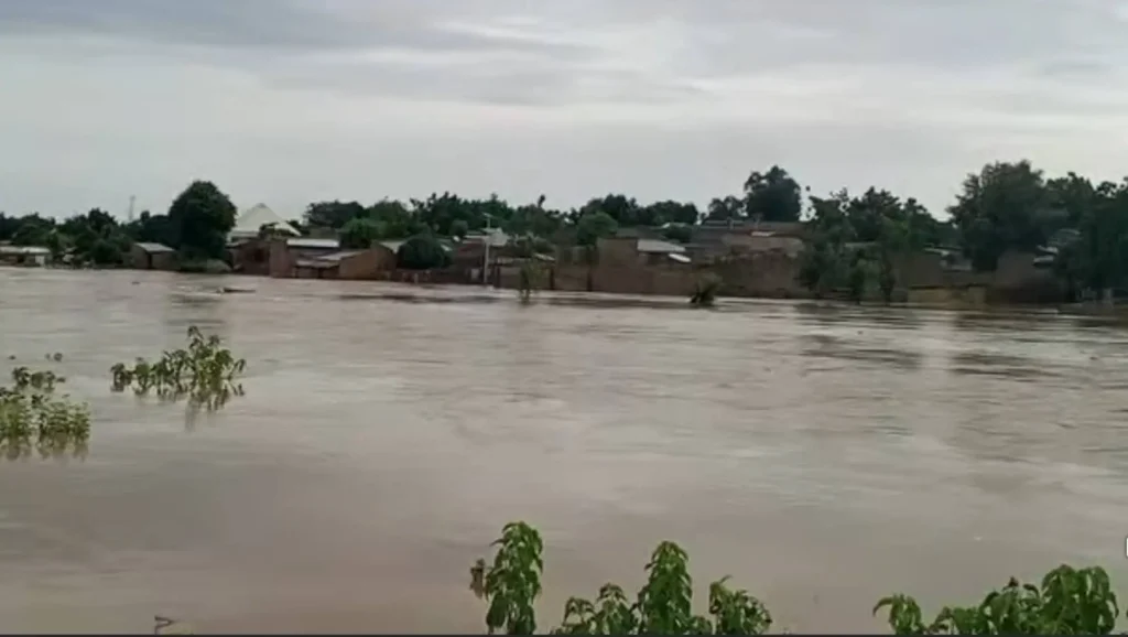 Yobe Flood Submerges Houses