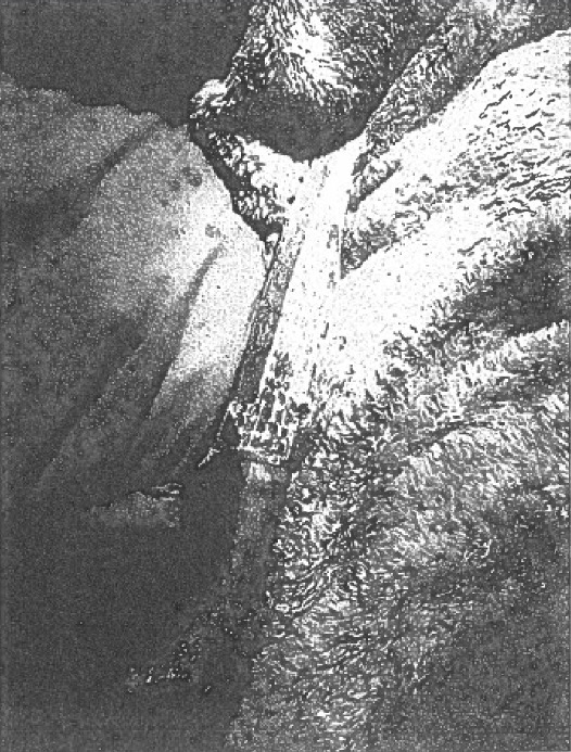 1400 Block El Paso Street 114845918 1762366521 1400 Block El Paso Street 114845918 1762366521