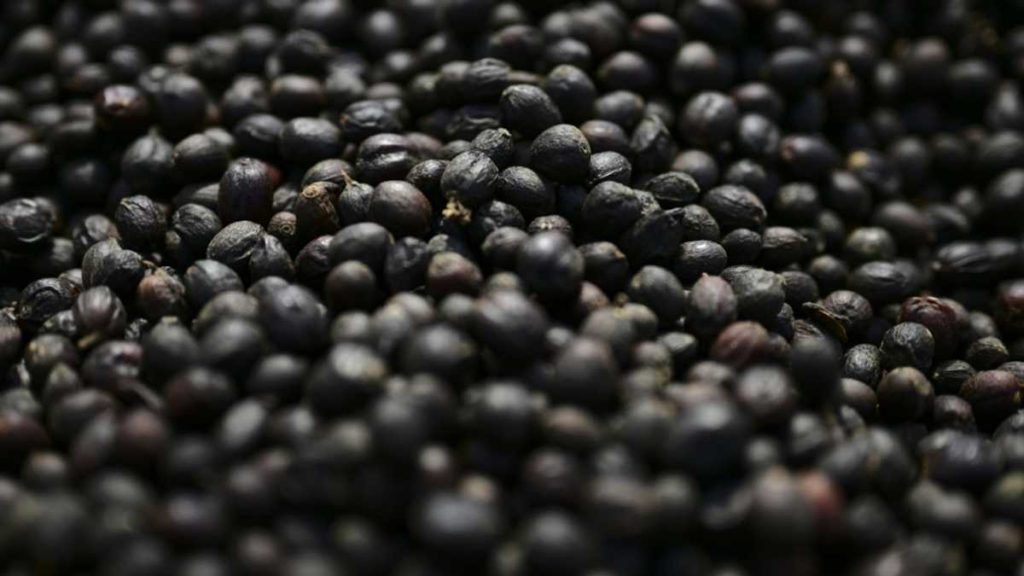 5446247A9A4C7B72 5446247A9A4C7B72