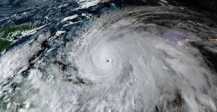 6F9752C7 Bce2 488E A037 0Fe50826Cd3E