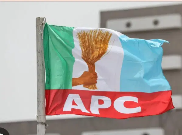 Apc Flag