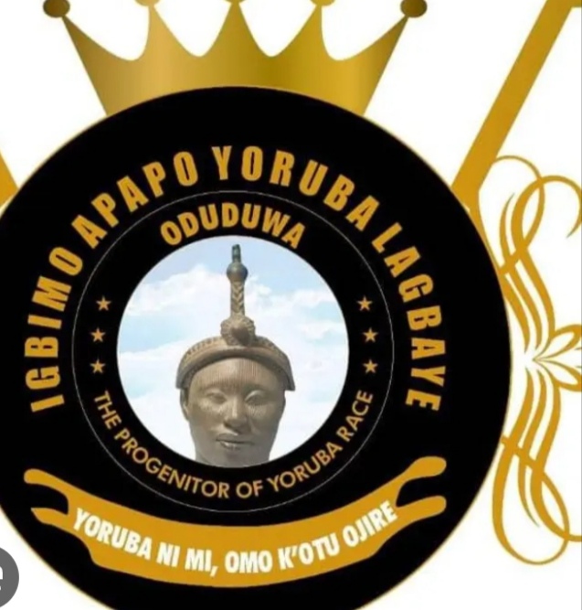 Bp1497Ta Img 20251102 185919