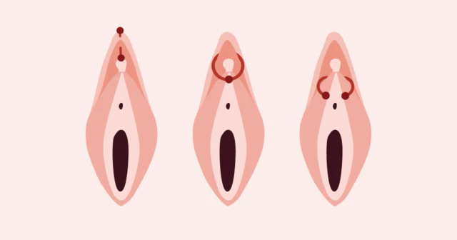 Clitoris Ring Clitoris Ring