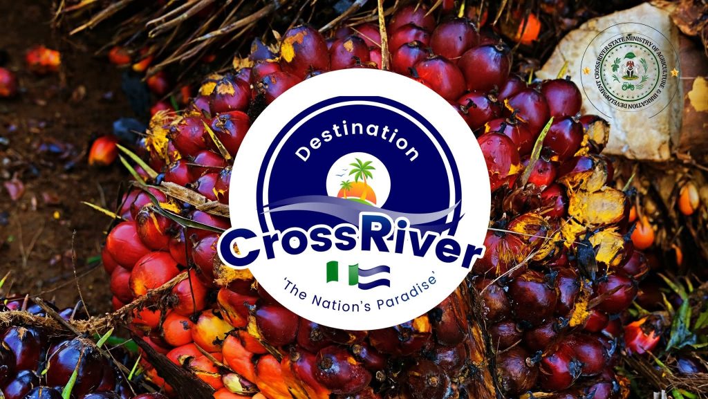 Cross River Palm Oil Production Cross River Palm Oil Production