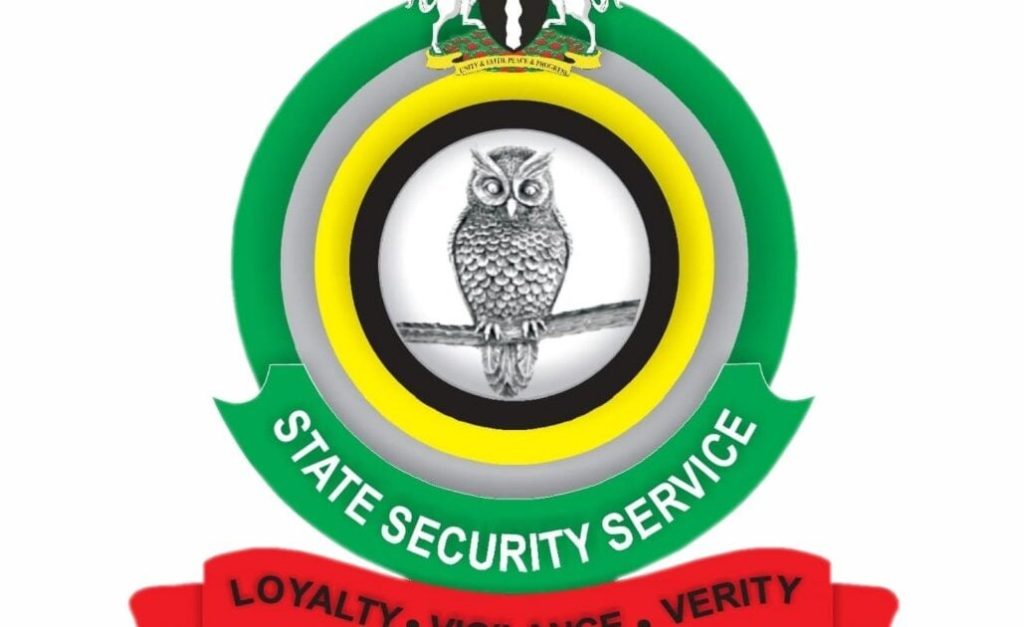 Dss Logo 1029X630 1 Dss Logo 1029X630 1