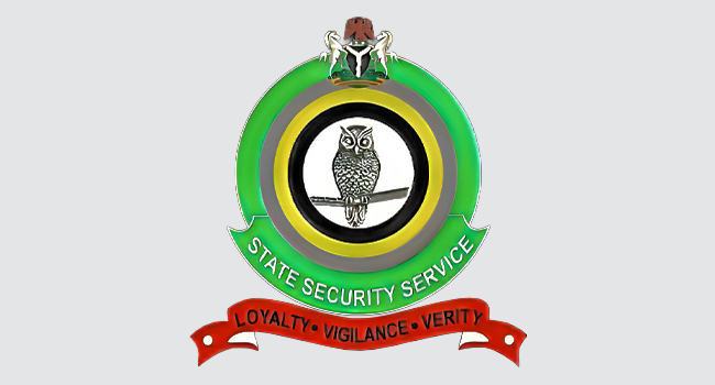 Dss Logo