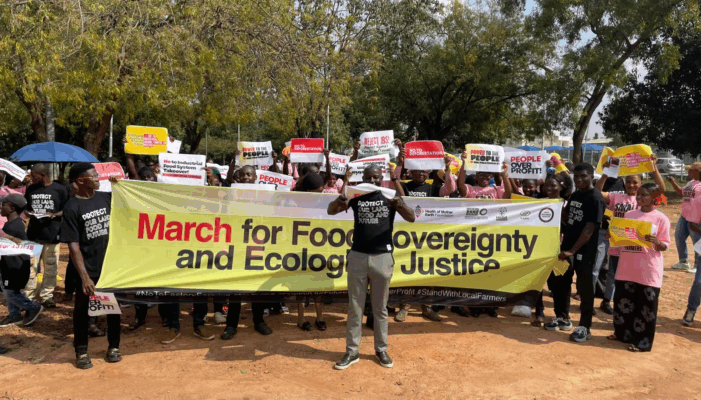 Img 8463 701X400 1 Img 8463 701X400 1