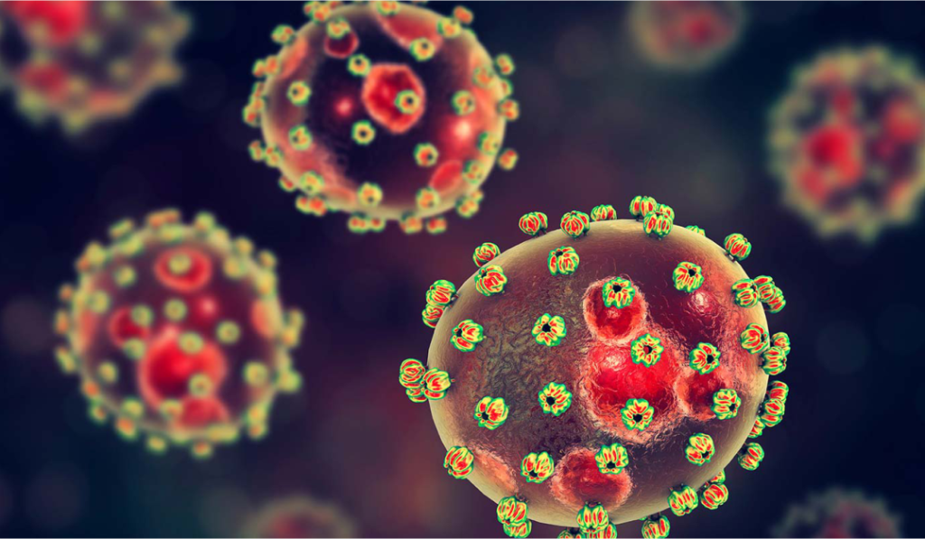 Lassa Fever 1 Lassa Fever 1