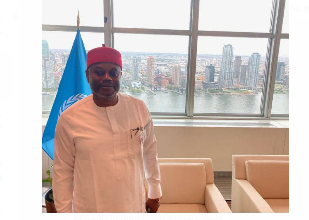 Minister Of Innovation Science And Technology Chief Uche Nnaji