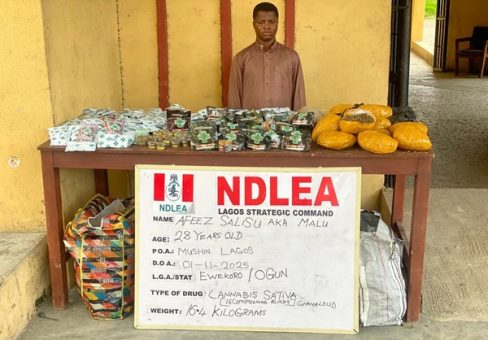 Ndlea 1 488X340 1 Ndlea 1 488X340 1