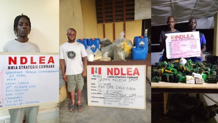 Ndlea Arrests Saudi Bound Drug Lord Dismantles Lekki Laboratory Recovers 148Kg Synthetic Cannabis