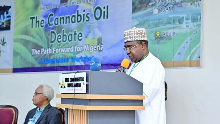 Ndlea Raises Alarm Over Dangerous E28098Medicinal Cannabis Calls It Highly Addictive And Illegal