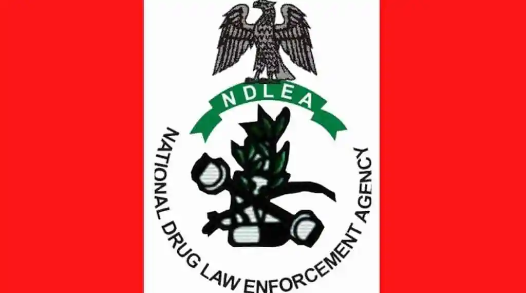 Ndlea Logo