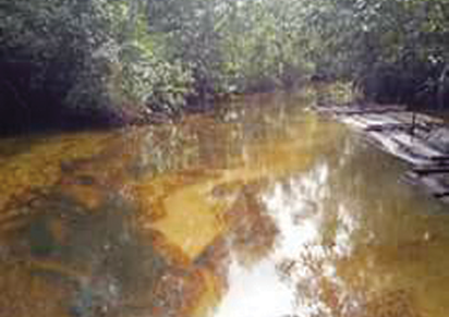 Ogoni Rivers