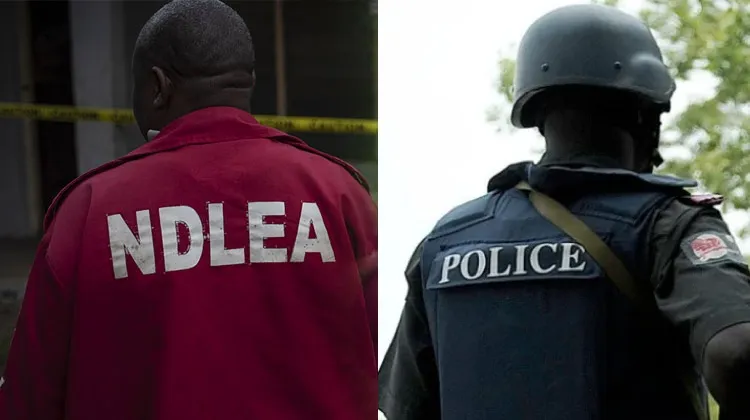 Police Ndlea Clash Police Ndlea Clash