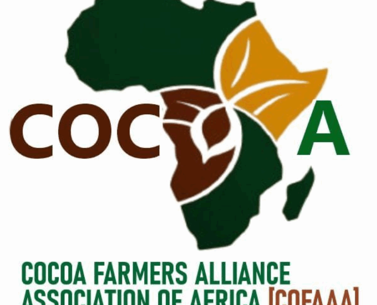 Screenshot 2025 08 15 000609 779X630 1 Screenshot 2025 08 15 000609 779X630 1