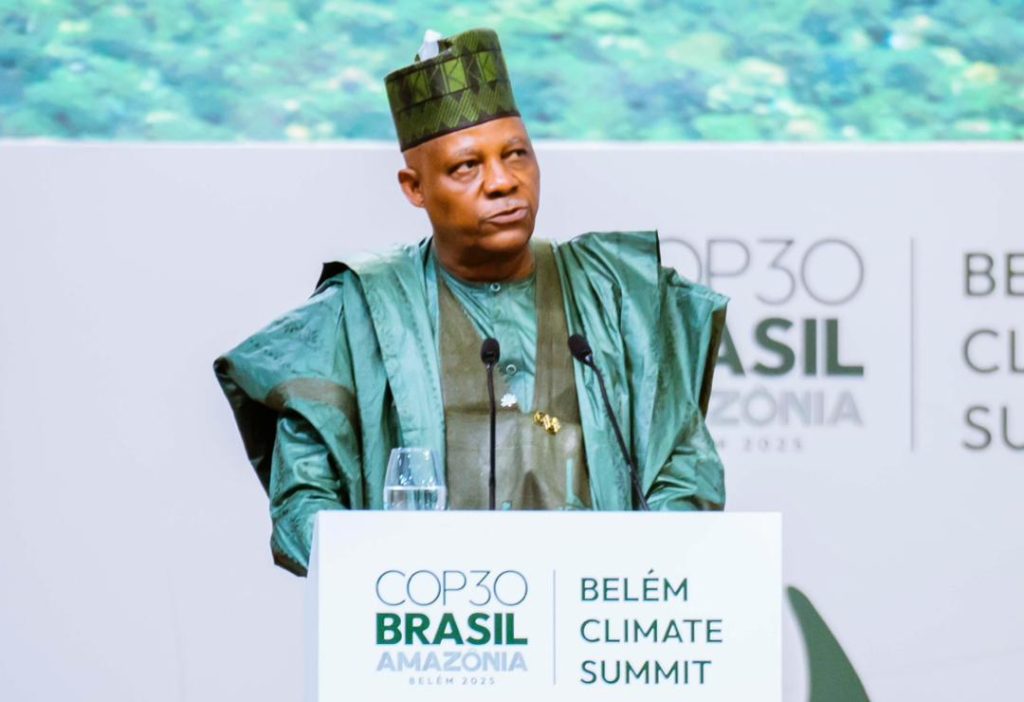 Shettima At Cop30 Shettima At Cop30