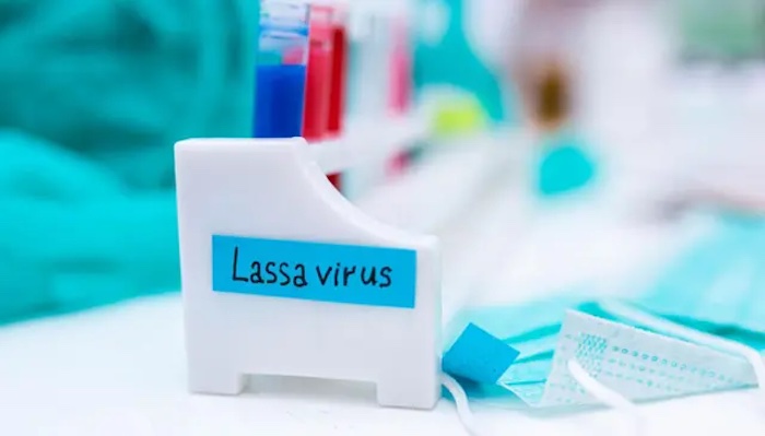 Single Dose Lassa Fever Vaccine Shows Strong Immunity Advances To Phase 2 Trials In West Africa Single Dose Lassa Fever Vaccine Shows Strong Immunity Advances To Phase 2 Trials In West Africa