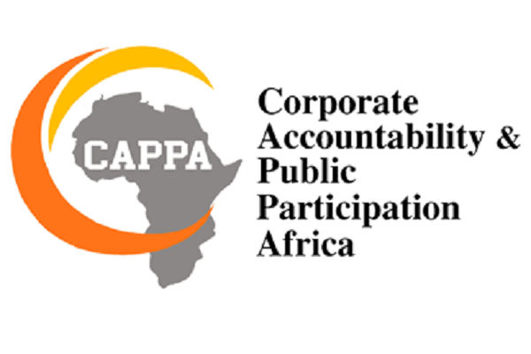 The Corporate Accountability And Public Participation Africa Cappa The Corporate Accountability And Public Participation Africa Cappa