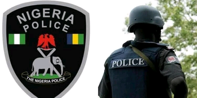 The Nigeria Police Force The Nigeria Police Force