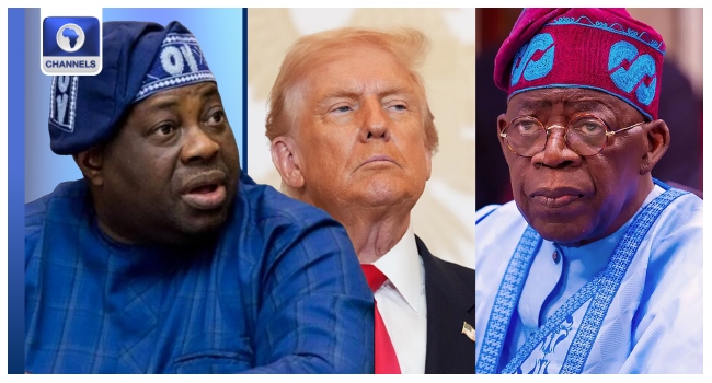 Trump Tinubu Momodu Trump Tinubu Momodu