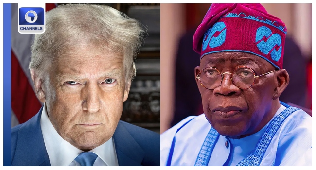 Trump Tinubu Trump Tinubu
