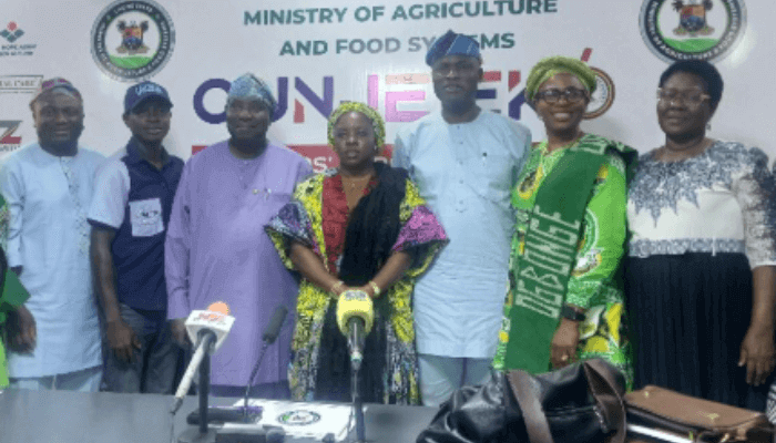 Untitled Design 21 1 1 Untitled Design 21 1 1