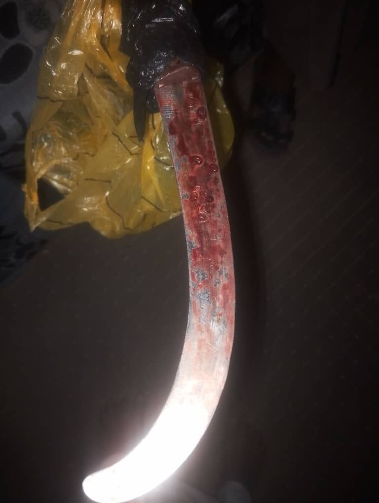 Whatsapp20Image202025 11 0520At2015.45.36 1762354461