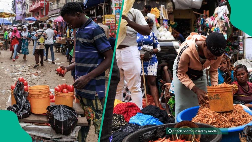 Cd11B7Ab6755A5Cf Cd11B7Ab6755A5Cf