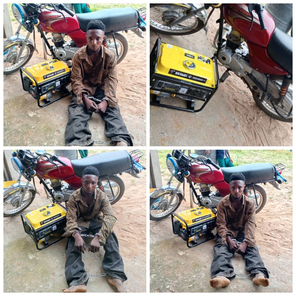 Cover3 1762419445 Cover3 1762419445