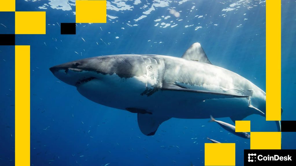 Dcbf8D2Dfcd5609Ffeb040631A8213Abba920877 1920X1080 1