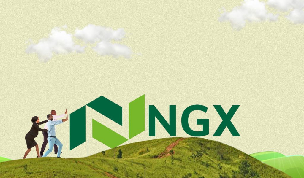 Domestic Investors Ngx Domestic Investors Ngx