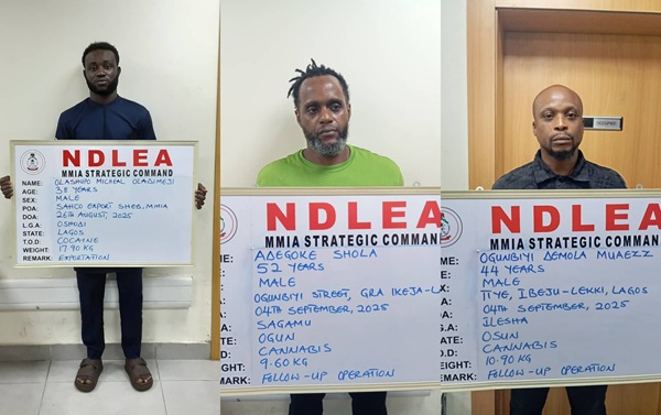 Drug Kingpins Drug Kingpins