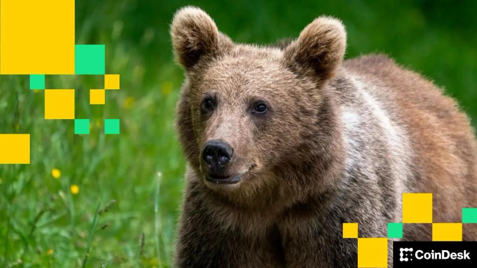 F740447A0604E010Feb19F369E1Bccfa7Bec5Ced 1920X1080 1 F740447A0604E010Feb19F369E1Bccfa7Bec5Ced 1920X1080 1