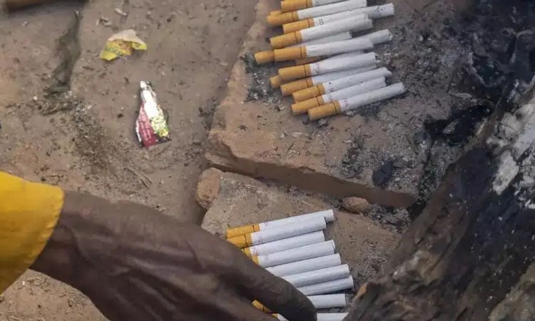 Image 327128 1761981941