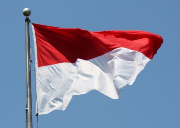 Indonesia E1548926558229 Indonesia E1548926558229
