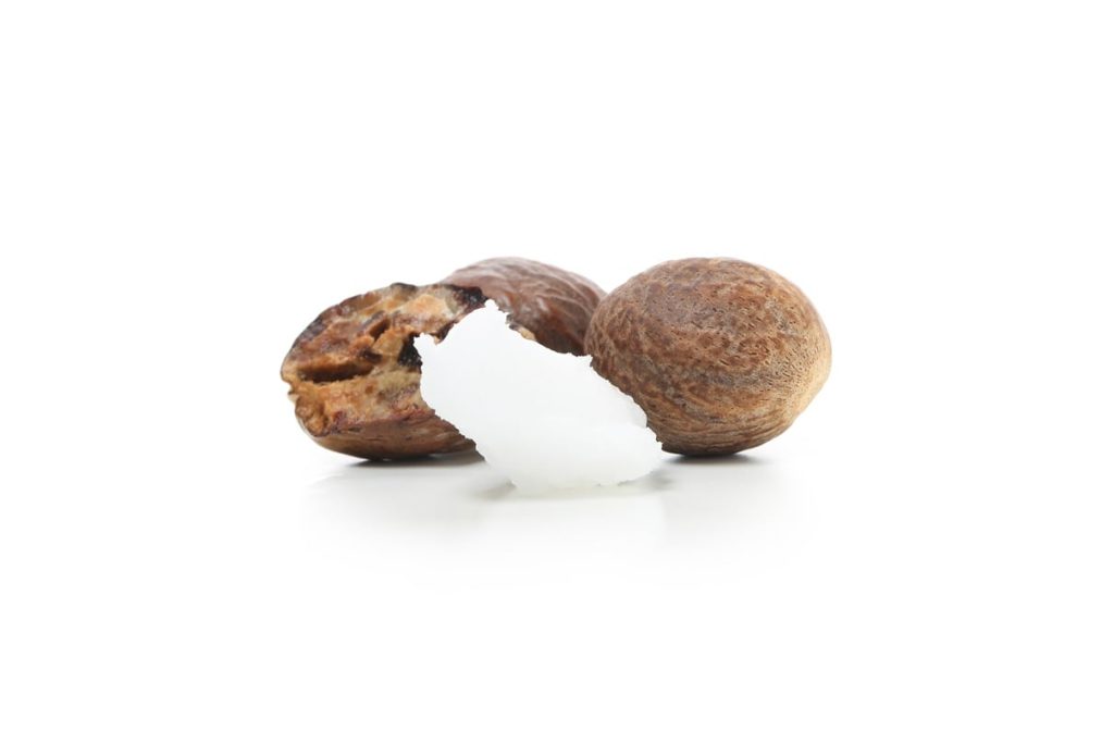 Shea Nuts Making Shea Butter Isolated White Background Shea Nuts Making Shea Butter Isolated White Background