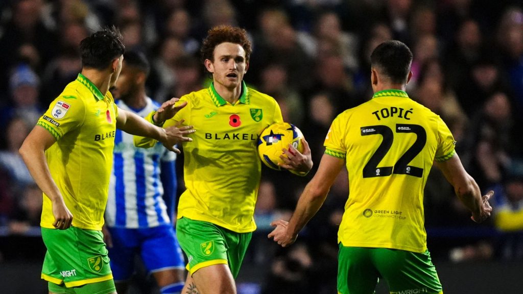 Skysports Norwich City 7073229 Skysports Norwich City 7073229