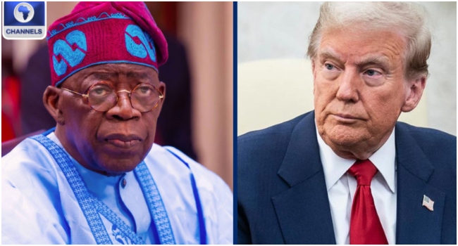 Trump Tinubu 1 Trump Tinubu 1